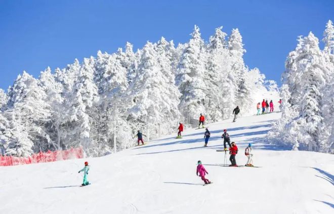 想去滑雪吗？国内这10个必一体育高质量滑雪圣地太好玩了好嗨哦！(图16)