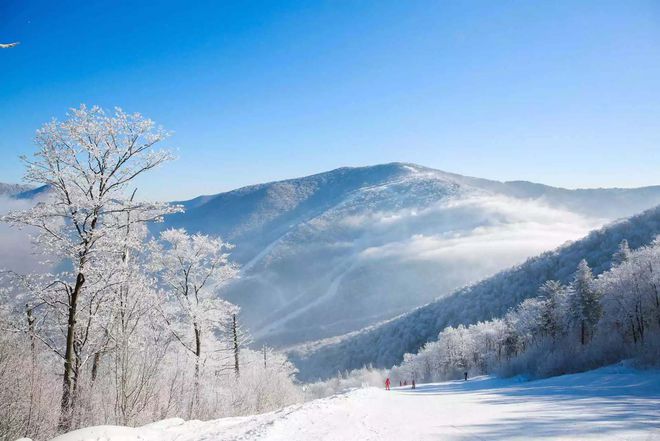 必一体育官网下载滑雪常识国内滑雪8大最好去处每1个都是胜地超刺激的玩雪地点哦！(图6)