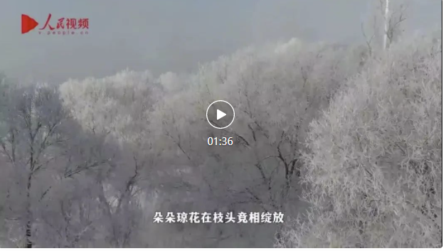 必一体育官网下载必一体育下载滑雪常识【央媒】央媒眼中的吉林︱滑雪场开板迎新雪季星级雾凇秀奇观(图7)