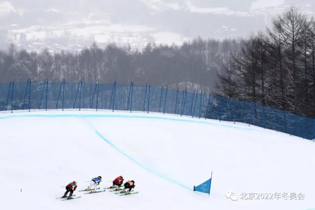 冬奥竞赛项目小知识自由式滑雪必一体育下载(图8)