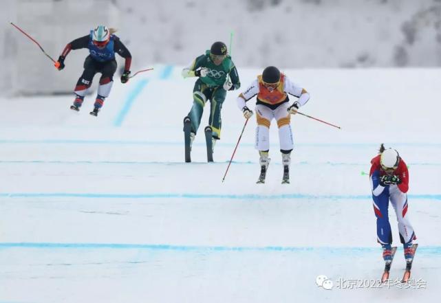 冬奥竞赛项目小知识自由式滑雪必一体育下载(图7)