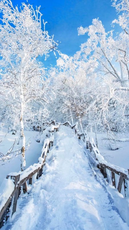 必一体育下载滑雪哈尔滨雪乡冬季游(图12)