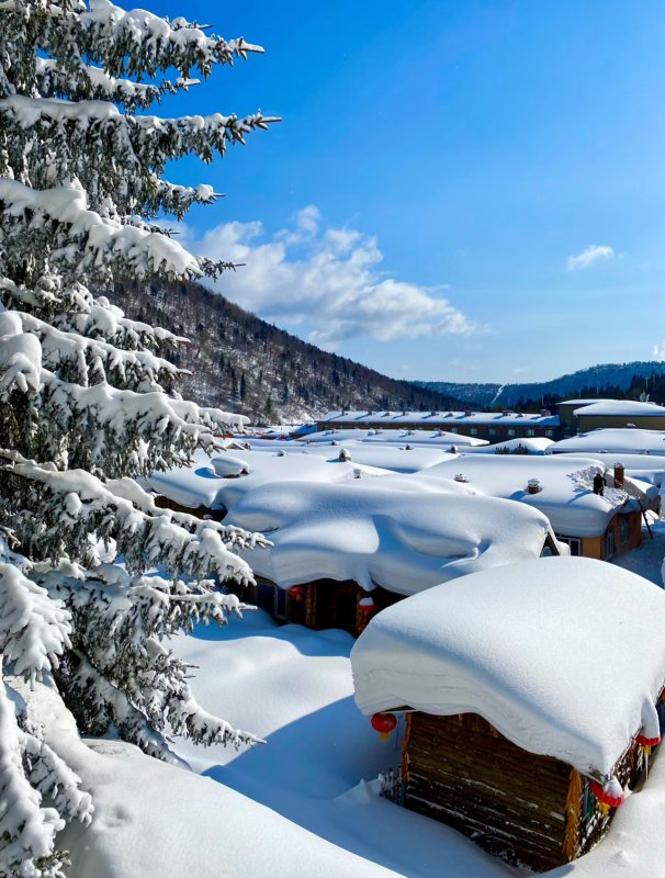 必一体育下载滑雪哈尔滨雪乡冬季游(图15)