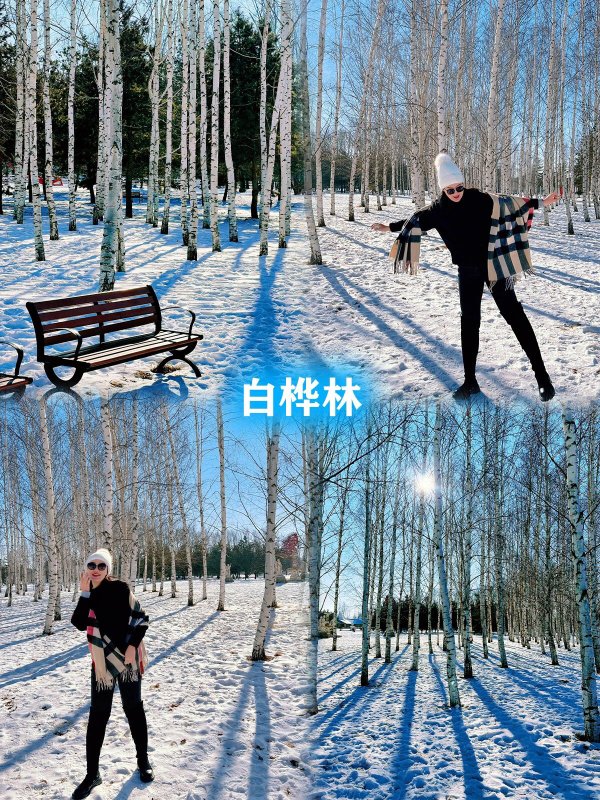 必一体育官网下载必一体育下载近期想带家人体验下哈尔滨雪乡雪景不知道有什么好的建议？希望了解滑雪的朋友可(图3)