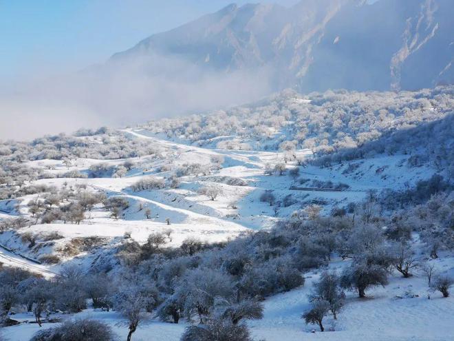 必一体育不是东北去不起而是乐山周边滑雪更有性价比！(图13)