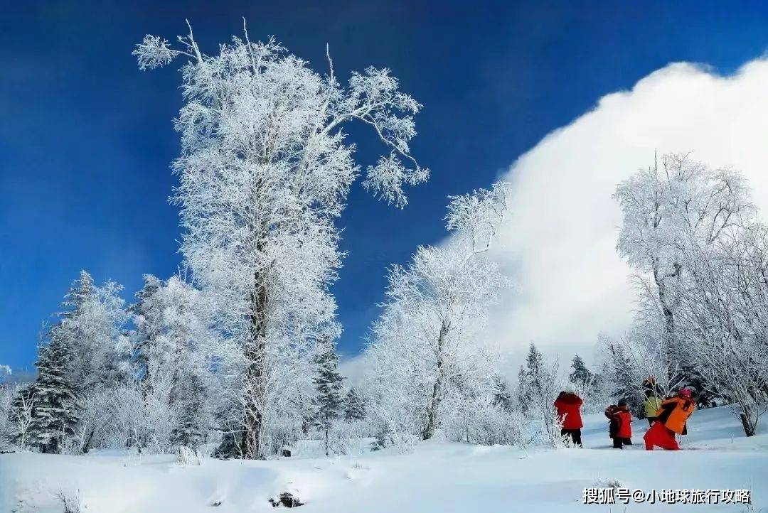 教育旅行｜10年1剑东北不仅有极光滑雪此文打开认知天滑雪常识花板｜深度研必一体育下载学(图4)