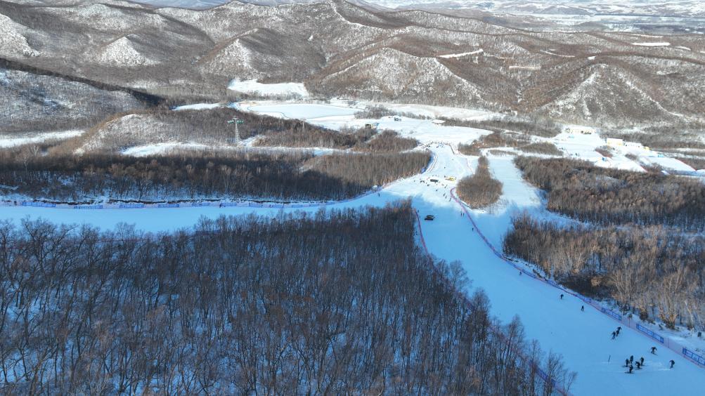 滑雪常识十四必一体育下载冬 闲记：空中技巧训练中你“看不见的事”(图1)